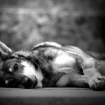 How a boring broker will make you richer