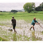 Blogging for money isn't as hard as some jobs, but it's usually profitless