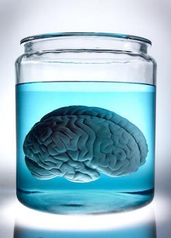 A photo of a brain in a jar: Mental accounting explains some of the odd things we think about money