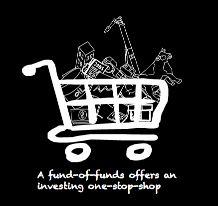 BlackRock MyMap fund-of-funds post image