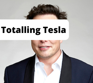 Image of Elon Musk with the caption Totalling Tesla