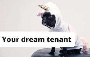 Dog dressed as unicorn to represent the dream tenant