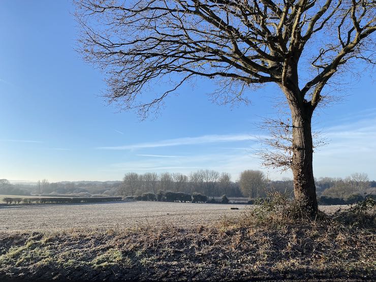 Jakes-East-Anglia-Landscape